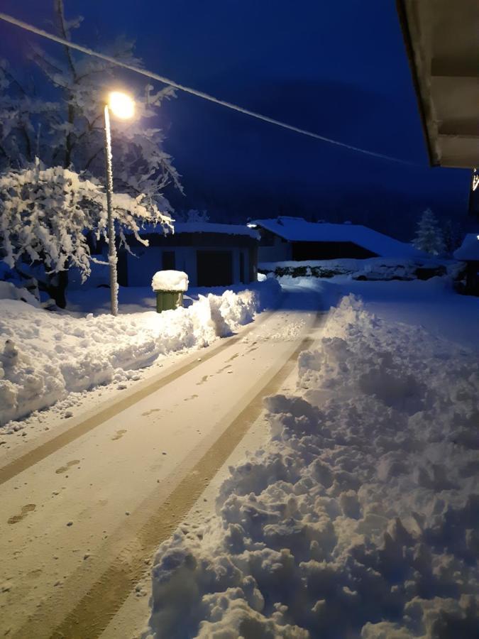 Alpska Roza Lejlighed Kranjska Gora Eksteriør billede